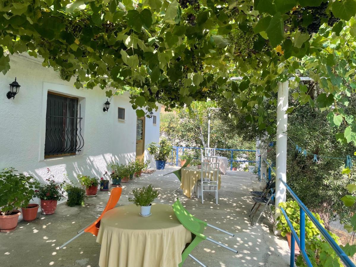 Piqeras Relax Guest House Dış mekan fotoğraf
